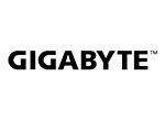 gigabyte-logo_725af1c2f4dced01a8c50f4031027062